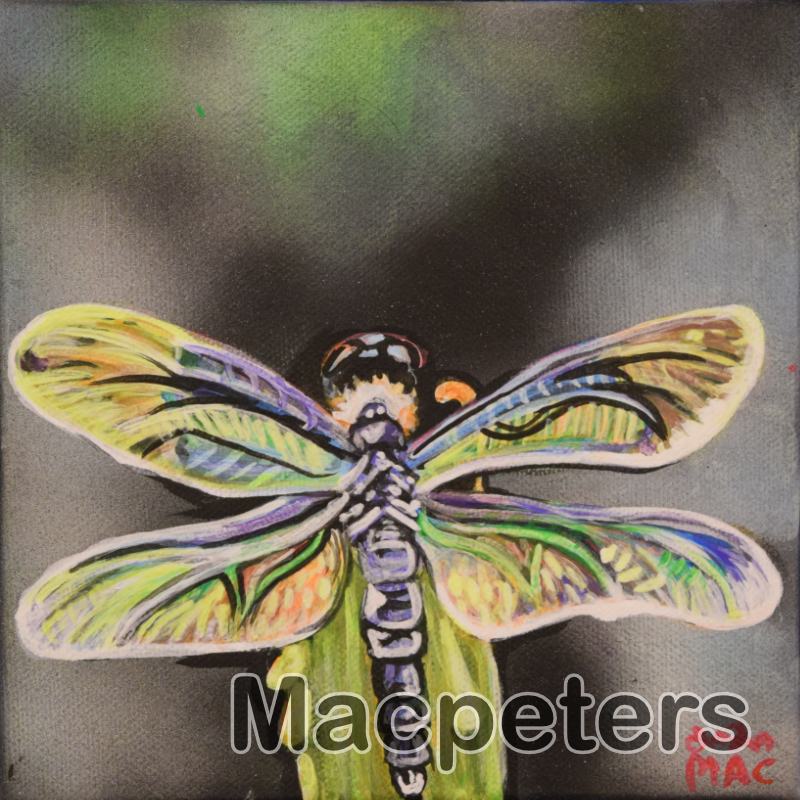 Dragonfly painting by Mac Peters