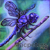 Dragonfly 02