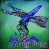 Dragonfly 03