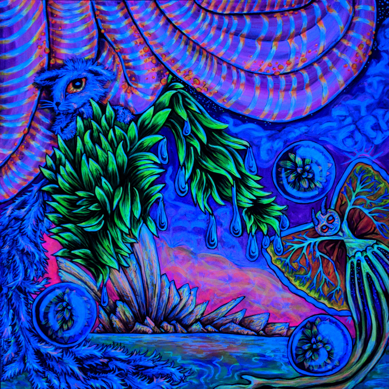 Fascination