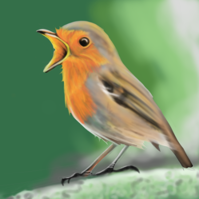 Robin Red Breast drawing by Mac Peters
